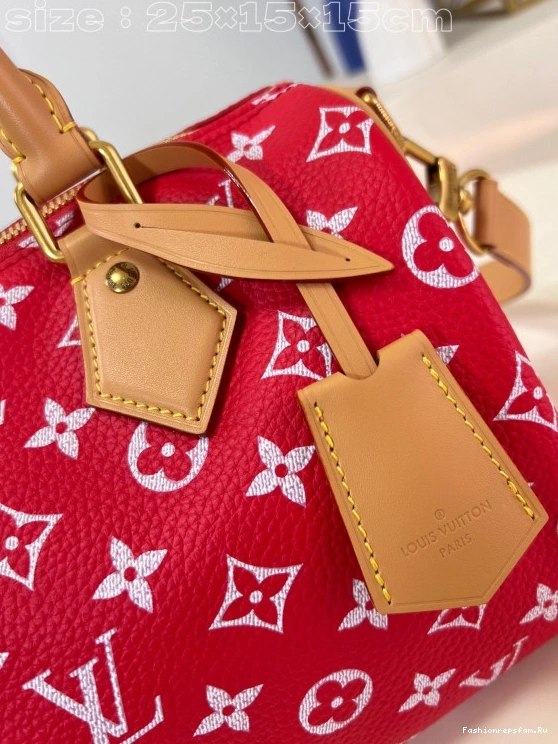 FS CHEAP 25 SPEEDY Louis Vuitton 0724